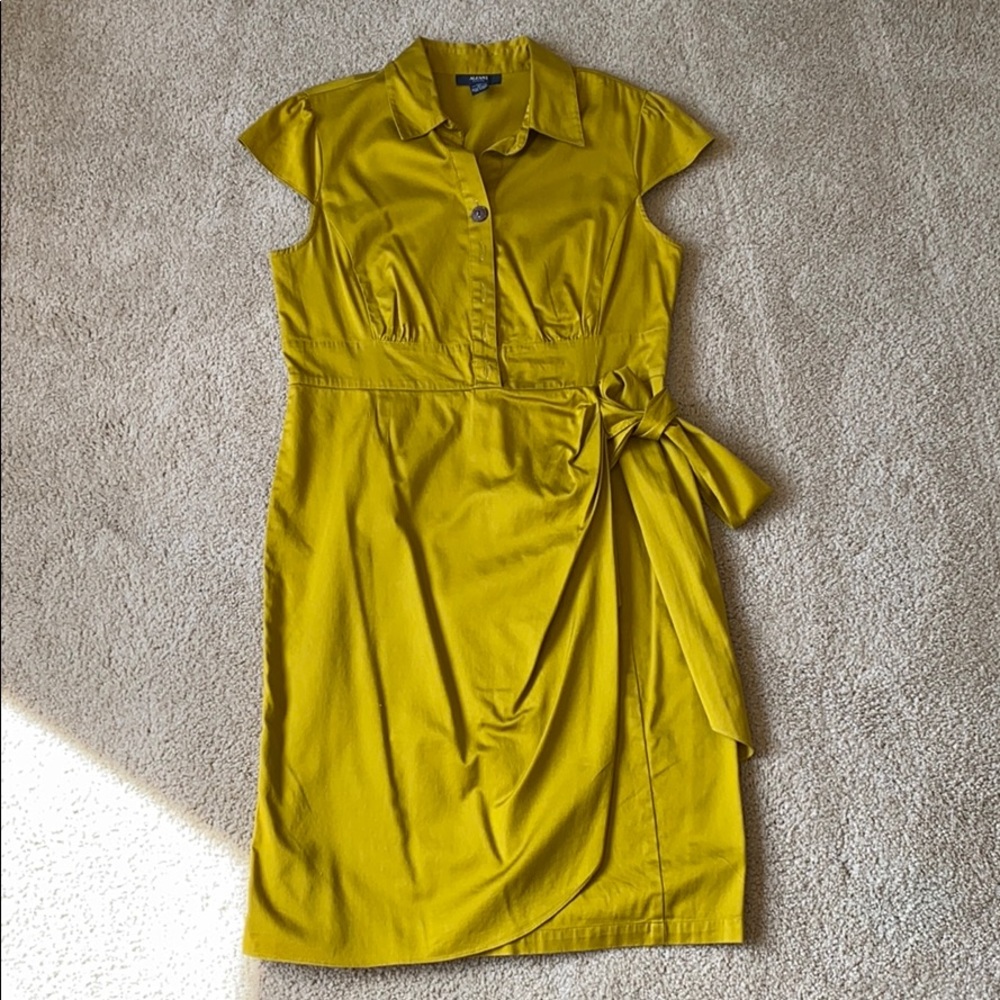 Collared Alfani Dress